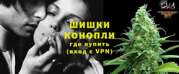сатива Новый Уренгой