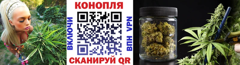 Бошки Шишки SATIVA & INDICA наркотики Глазов